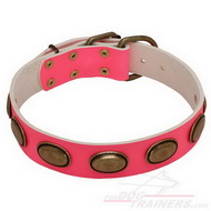 Collare in cuoio rosa con borchie ovali per cane